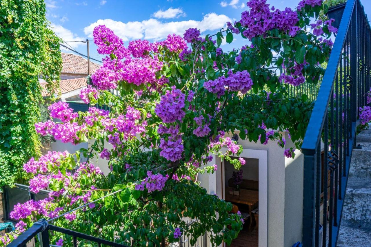 Stone House Marino Βίλα Τρογκίρ Εξωτερικό φωτογραφία